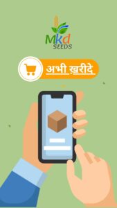 सोयाबीन की नई किस्मे mkd seeds