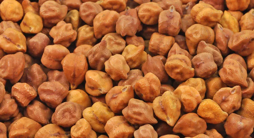 Gram Seeds