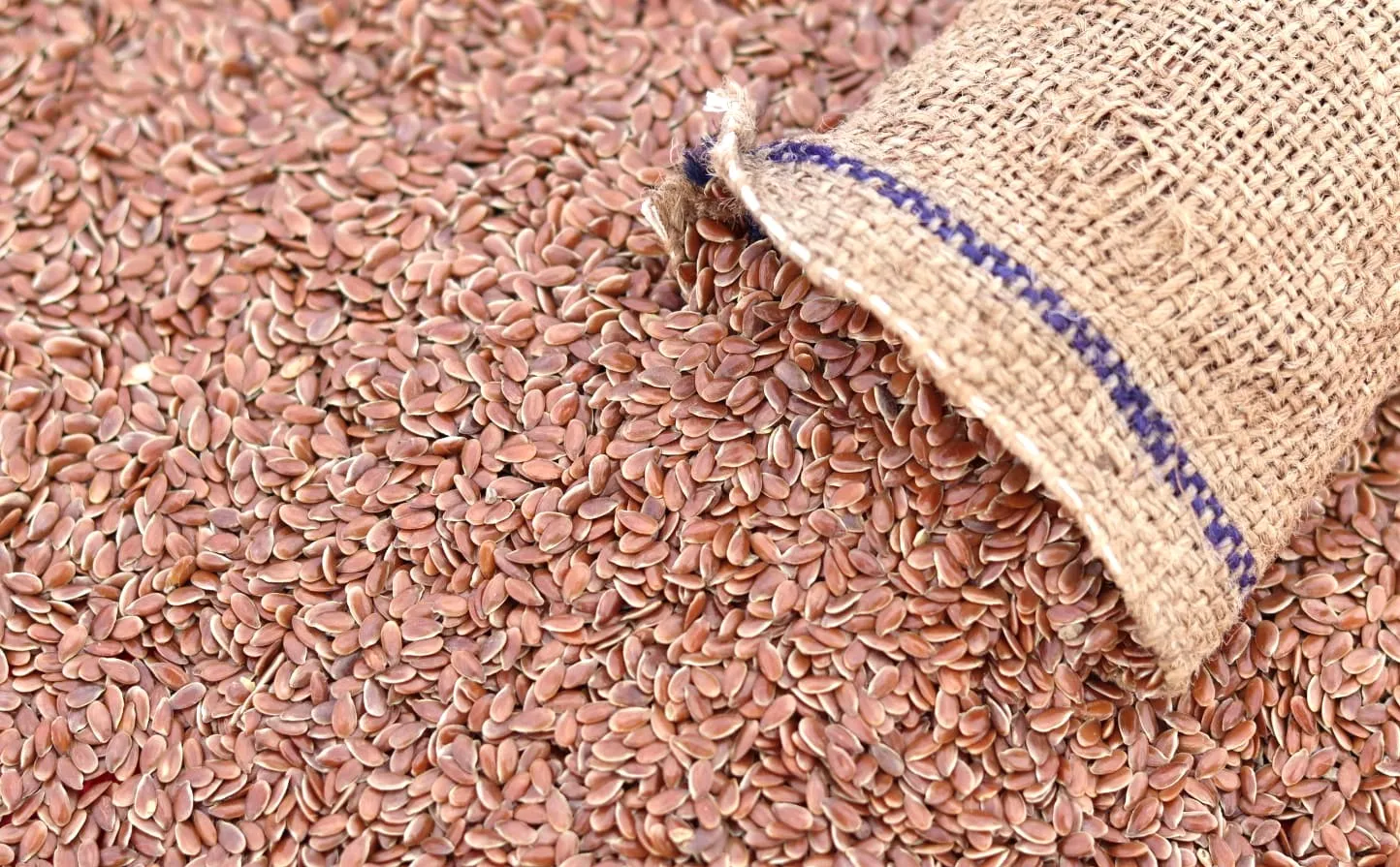 Linseed