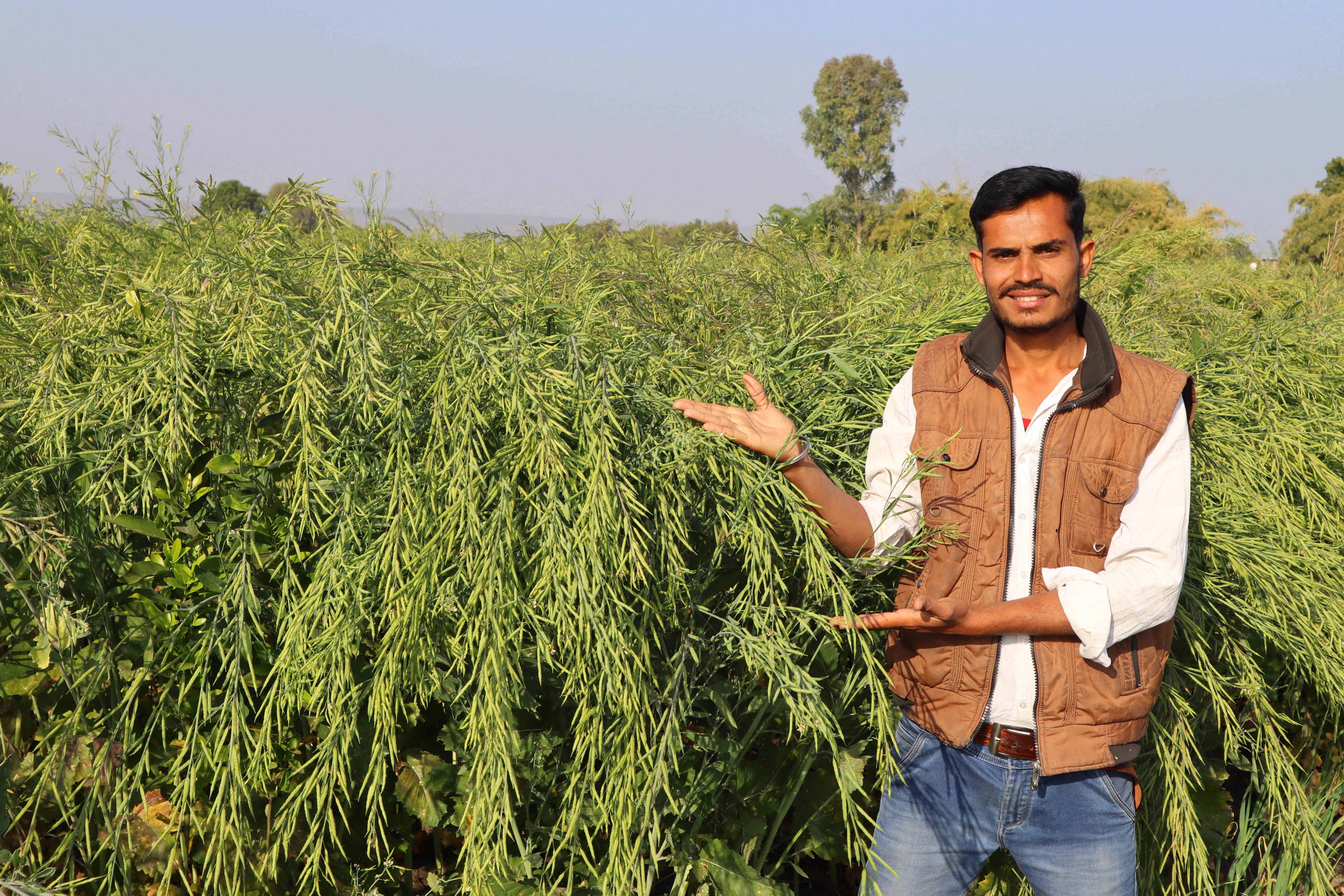 Virendra Jat