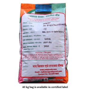 Pusa Tejas Hi 8759 Wheat Seed