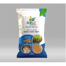 Wheat DBW 303 Karan Vaishnavi