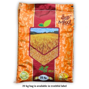 GW 322 Wheat Seeds